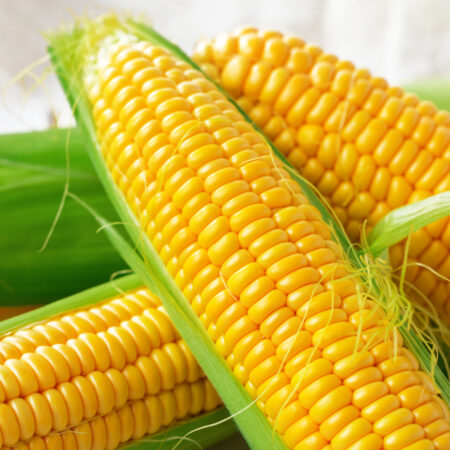 Sweetcorn