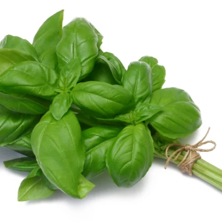 BASIL BUNCH