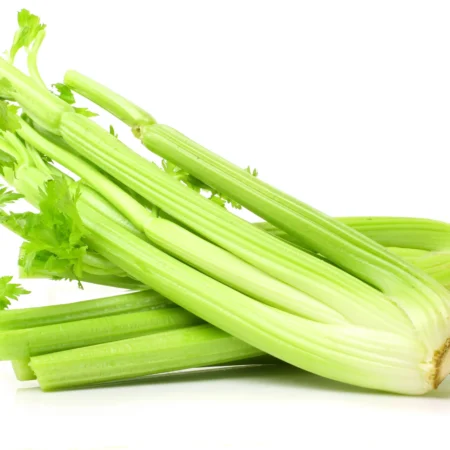 CELERY BUNCH