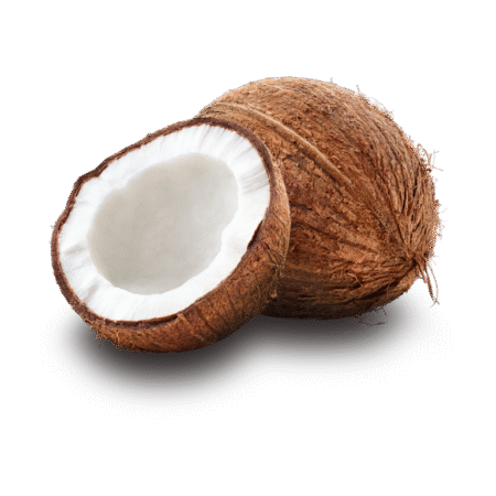 COCONUT