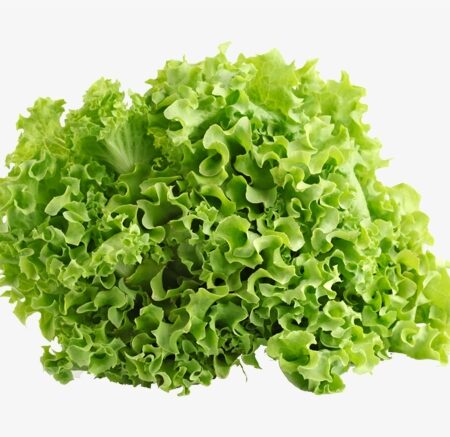 Lettuce icebag