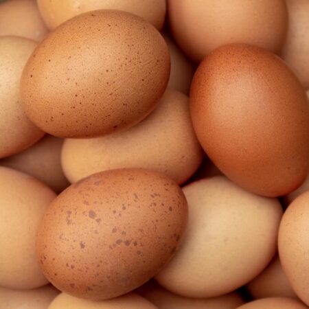 LOCAL EGGS