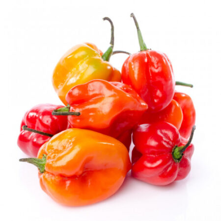HABANERO